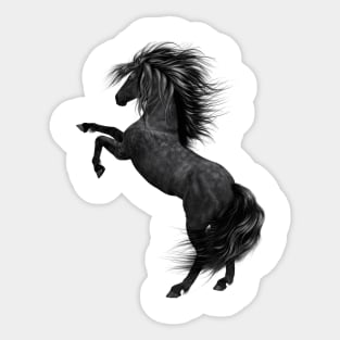 Horse Lover Sticker